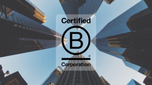 Flowchart showing the steps of B Corp certification from the B Impact Assessment to verification and legal requirement.