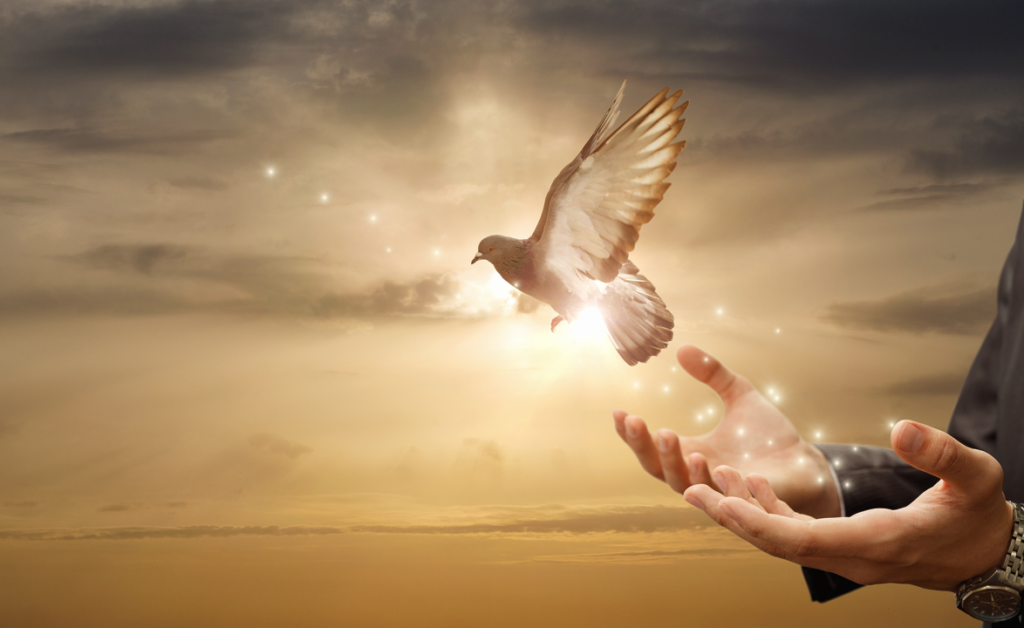 A four-quadrant chart plotting major peace agreements based on the robustness of their negotiation process and the supportiveness of their implementation context, with cases like Colombia and Northern Ireland in the positive quadrant and Syria and Rwanda in the negative.