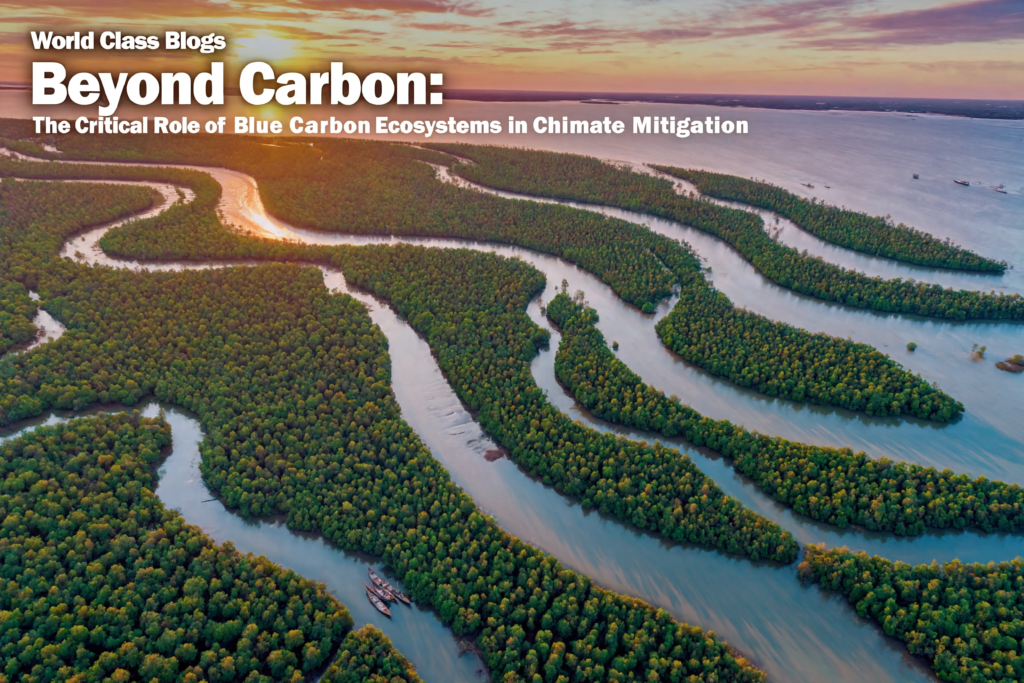 Infographic comparing mangroves, seagrass, and salt marshes, blue carbon ecosystems showing their carbon storage and co-benefits.